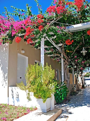 A building with a white facade, a covered walkway, and potted plants. - Sacallis Inn Beach Hotel (Kos)