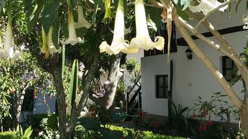 Un jardín con diversas plantas, incluyendo un árbol con flores blancas colgantes y flores rojas en primer plano.