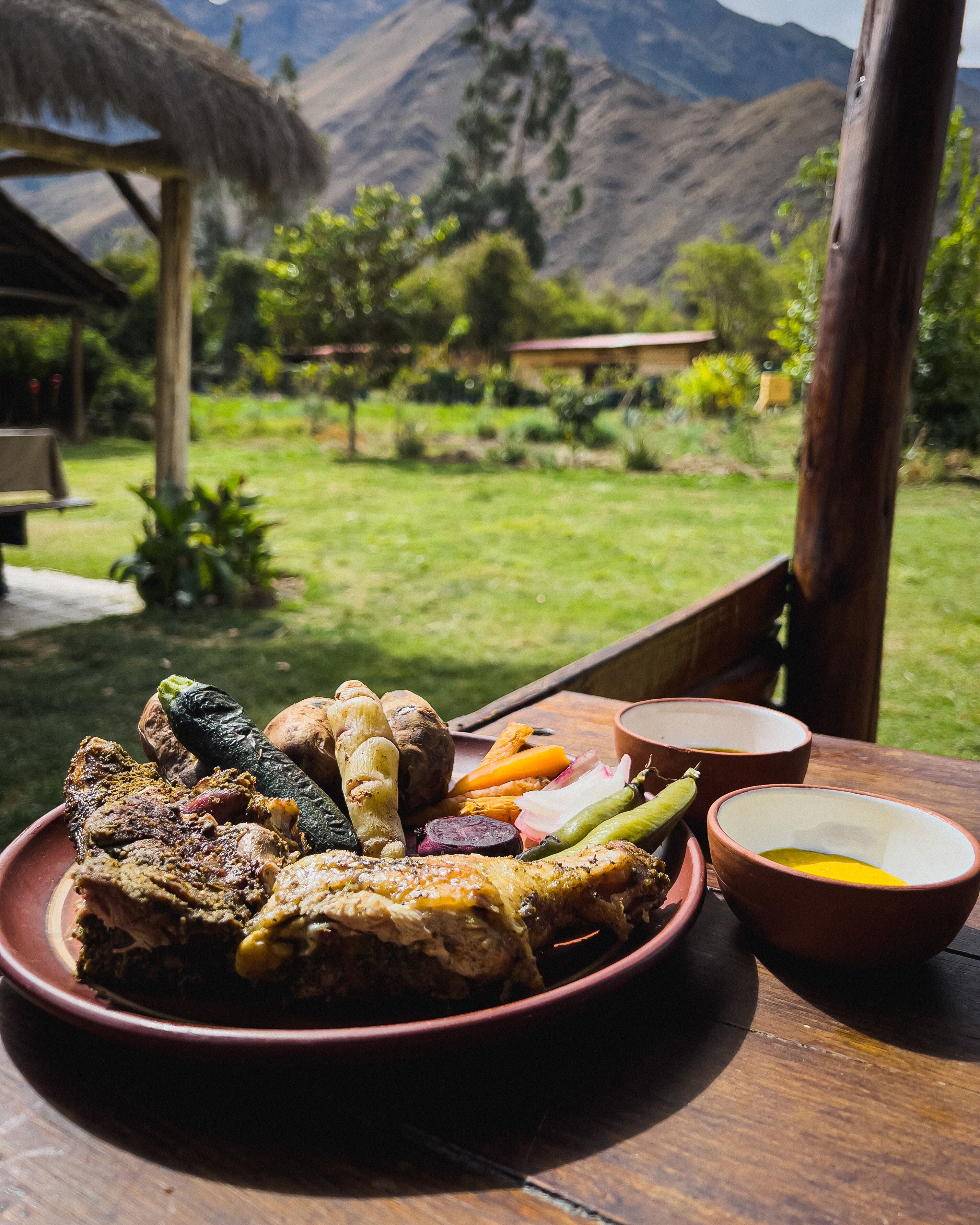 A dining table with a plate of roasted meats and vegetables, a bowl of sauce, and a view of a mountainous landscape.
