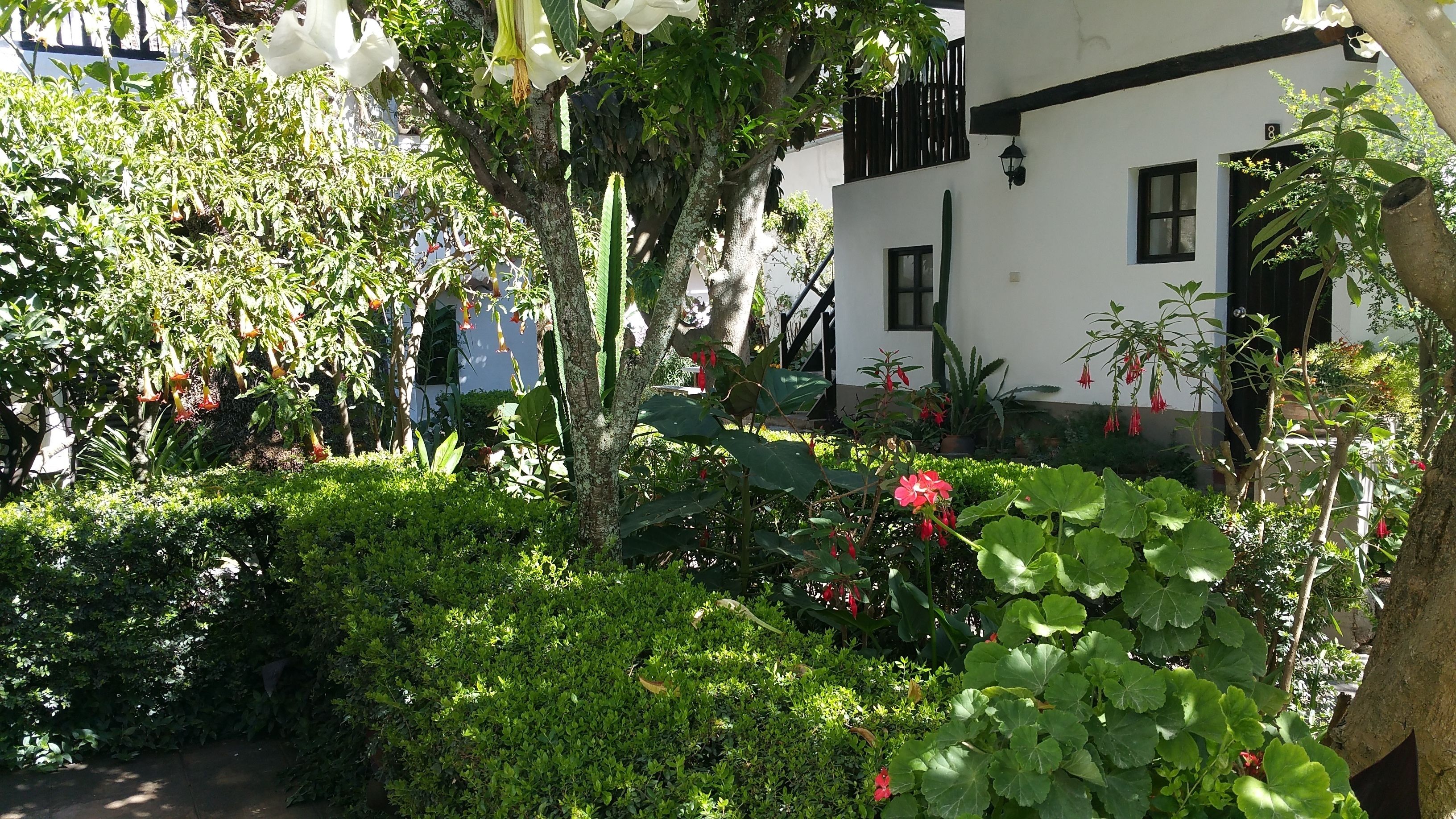 Un exuberante jardín con diversas plantas y flores, un edificio blanco con marcos de ventana negros y una escalera que conduce al piso superior.