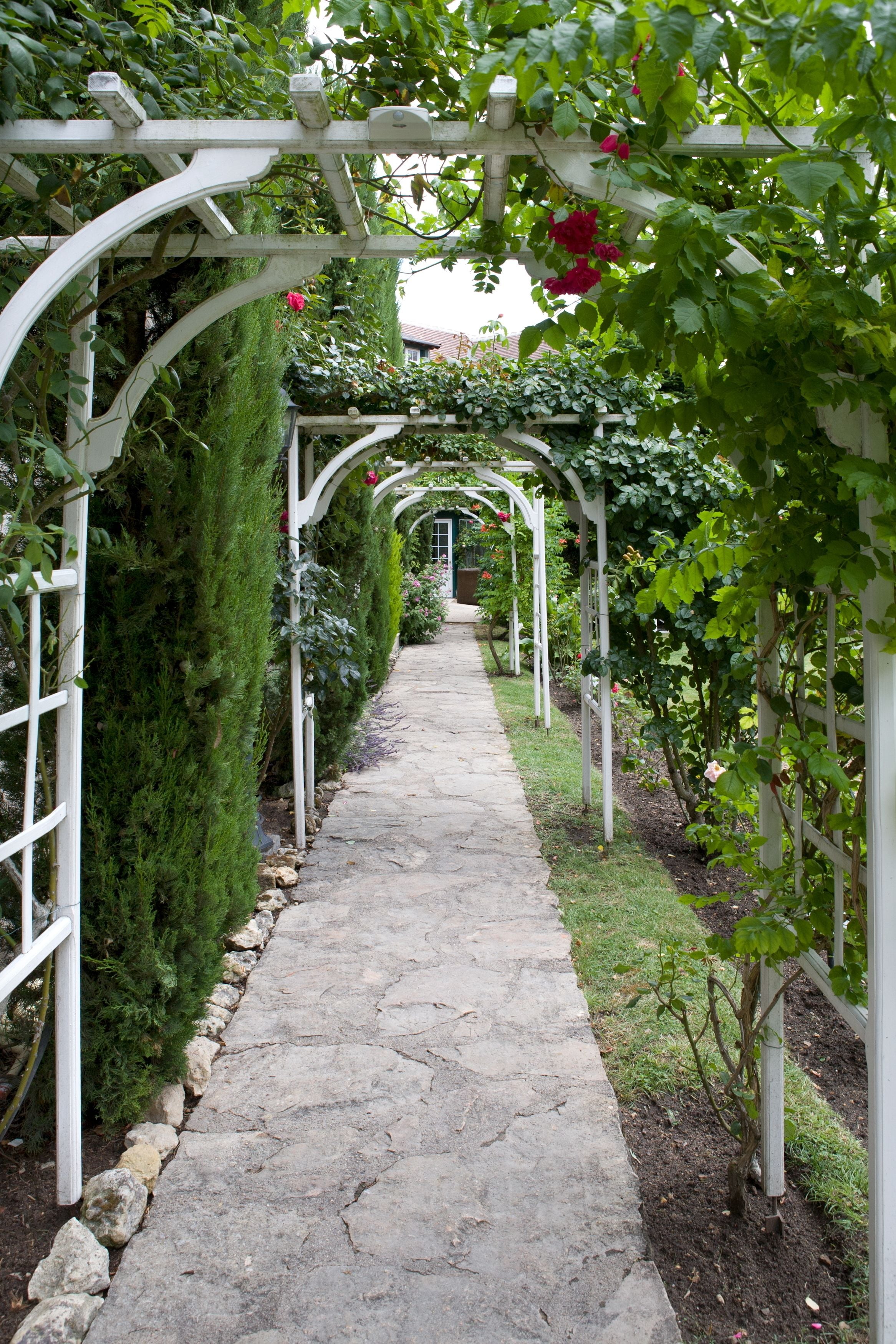 Jardín