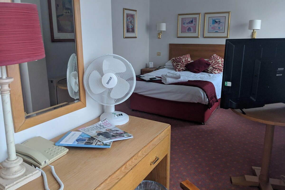 A hotel room with a bed, bedside table, lamp, fan, TV, and artwork on the walls.