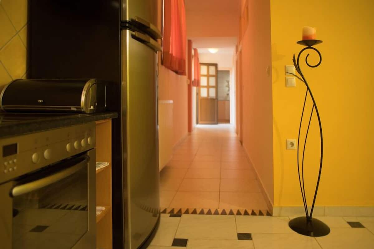 deluxe apartment, 2 bedrooms | private kitchen | fridge, microwave, coffee/tea maker, electric kettle