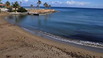 鄰近海灘、海灘小屋、躺椅、遮陽傘