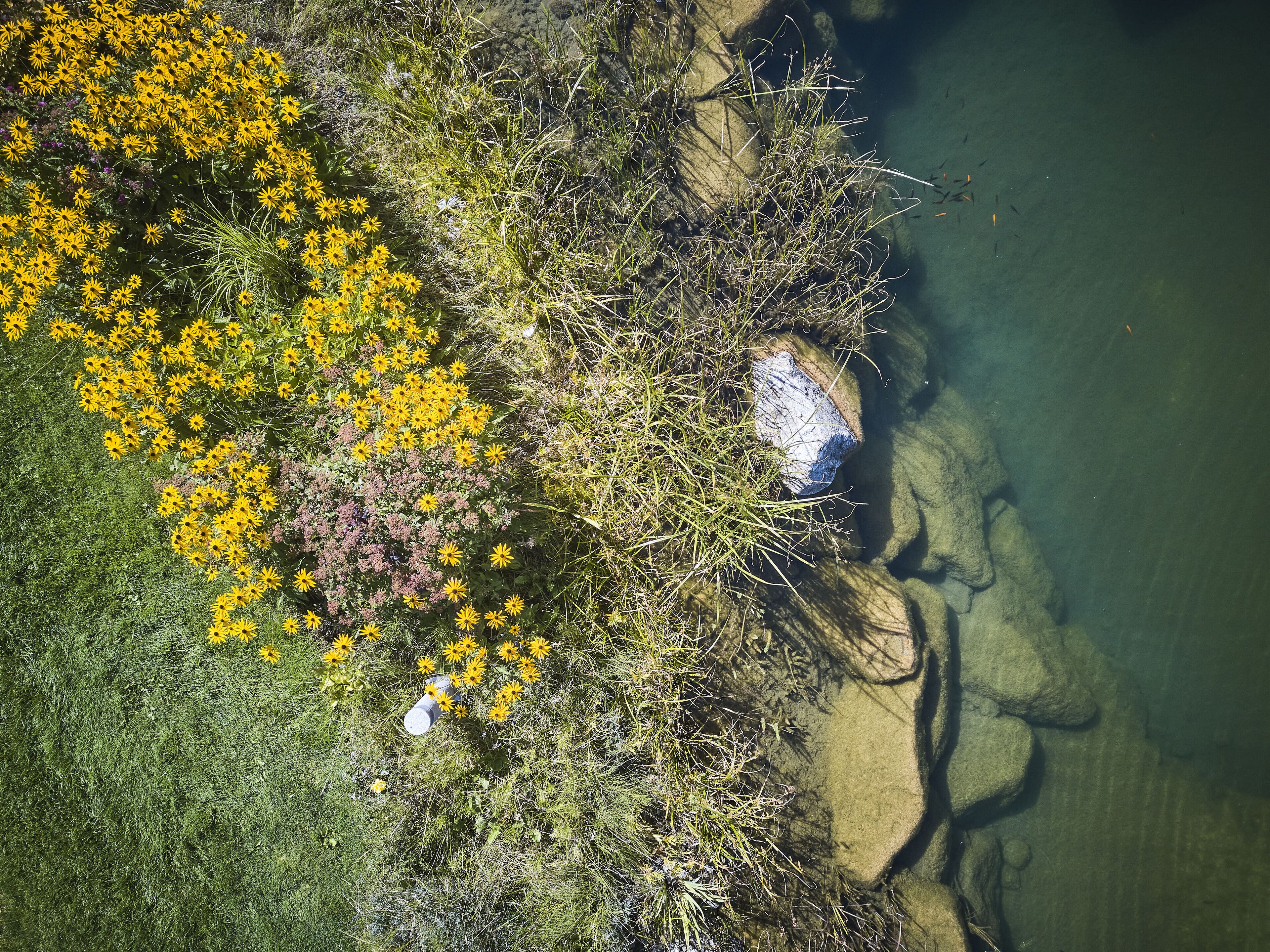 An aerial view of a natural landscape with a body of water, vegetation, and a rock formation.