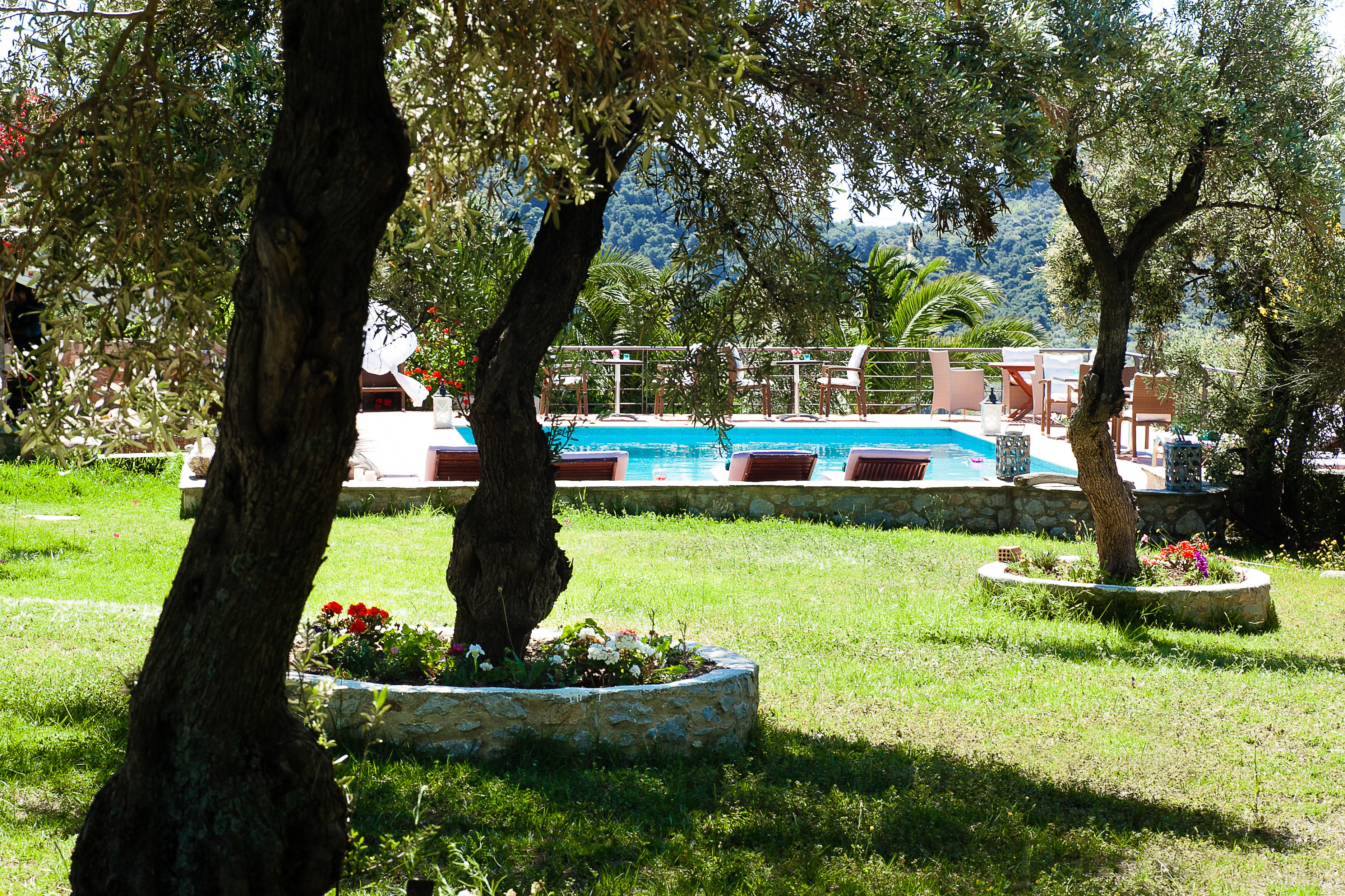 Zona de piscina con borde de piedra, rodeada de césped y árboles.