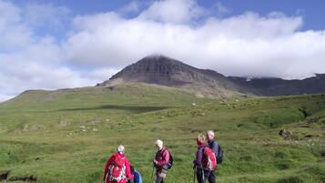 A group of hikers in a grassy field with a mountain in the background.