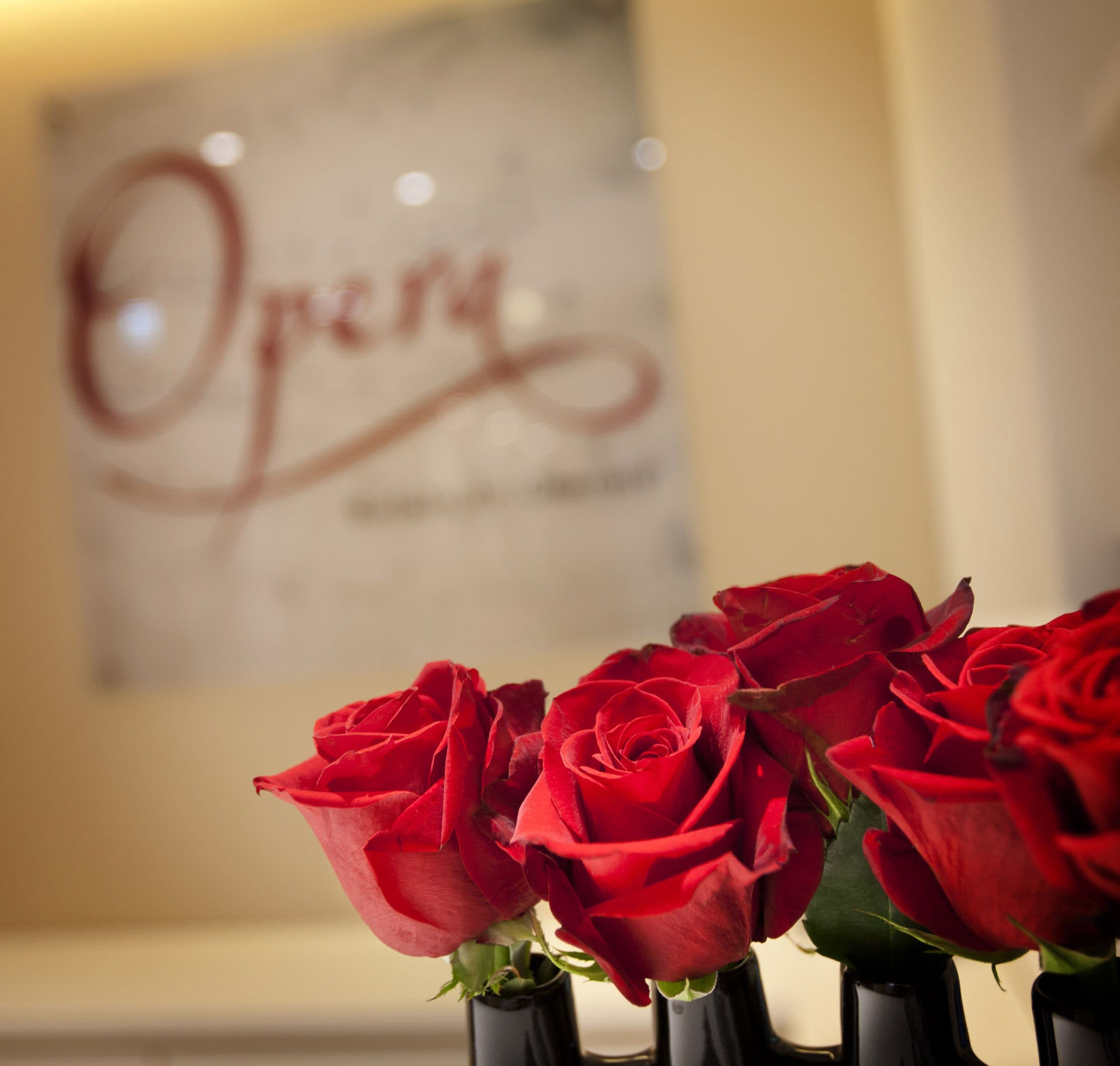 A framed sign with the word "Opera" and a bouquet of red roses in front of it.