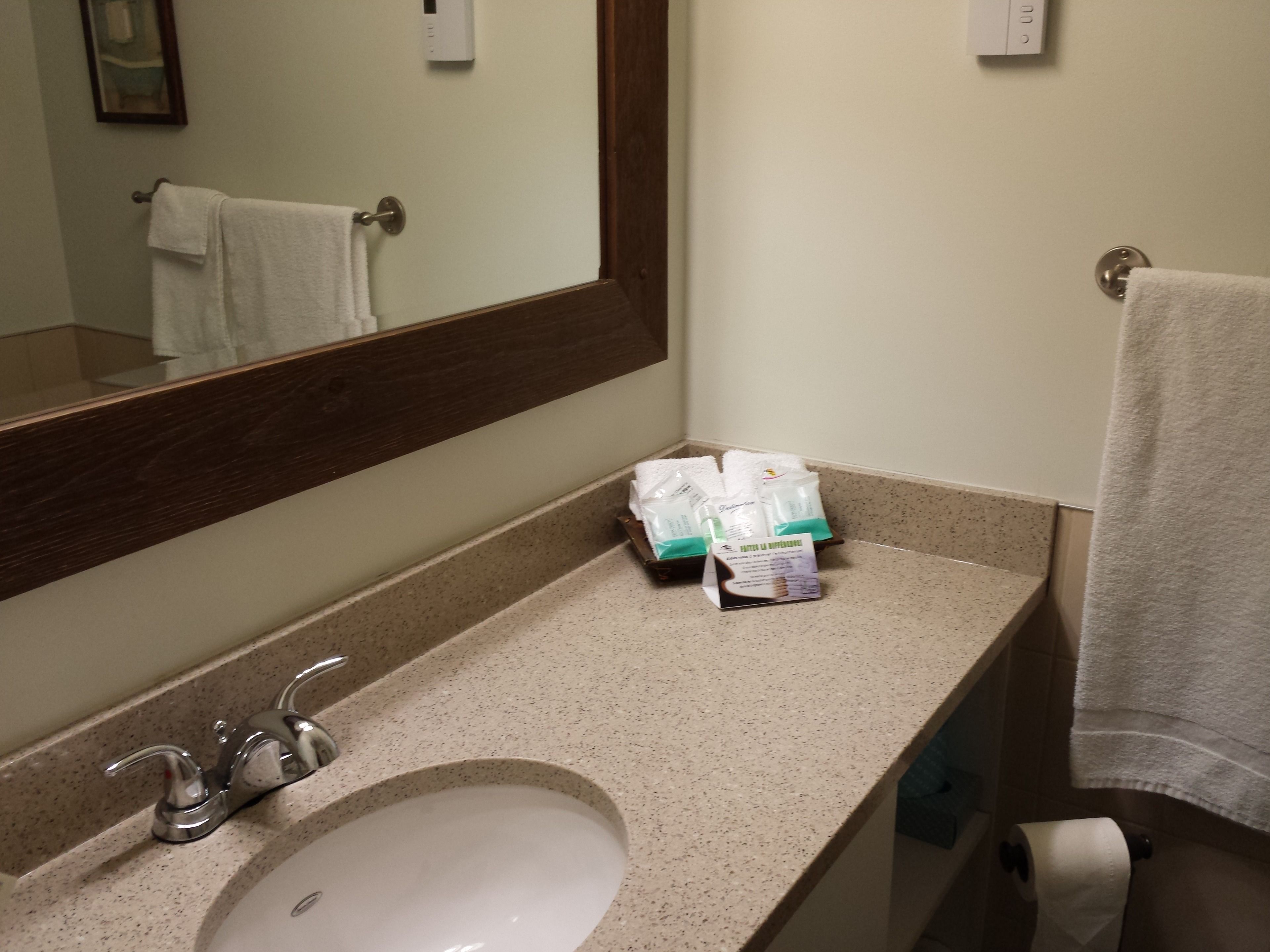 standard room, 1 queen bed with sofa bed (mini fridge) | bathroom sink