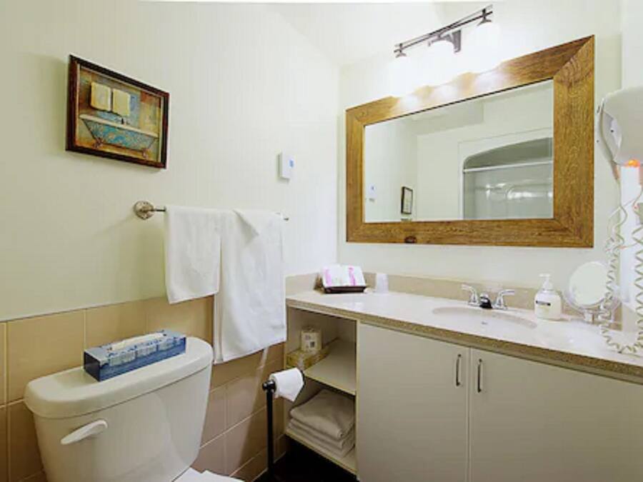 A bathroom with a toilet, sink, mirror, towel rack, and a framed picture on the wall.