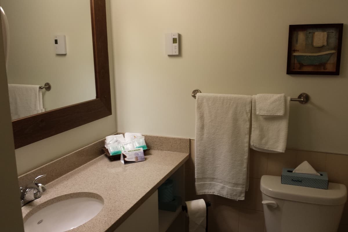 free toiletries, hair dryer, towels, soap