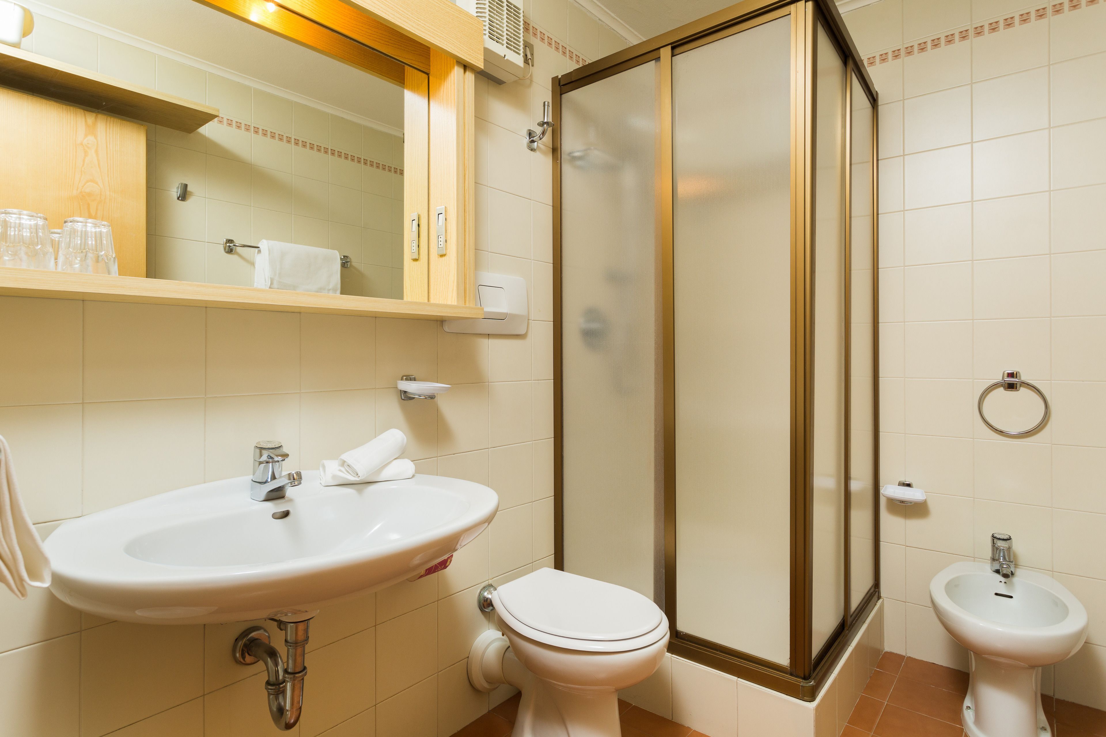 Une salle de bain avec un lavabo, des toilettes et une douche.