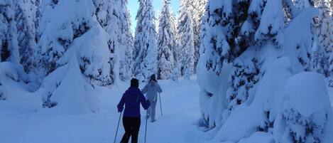 A snowy forest scene with two people skiing.