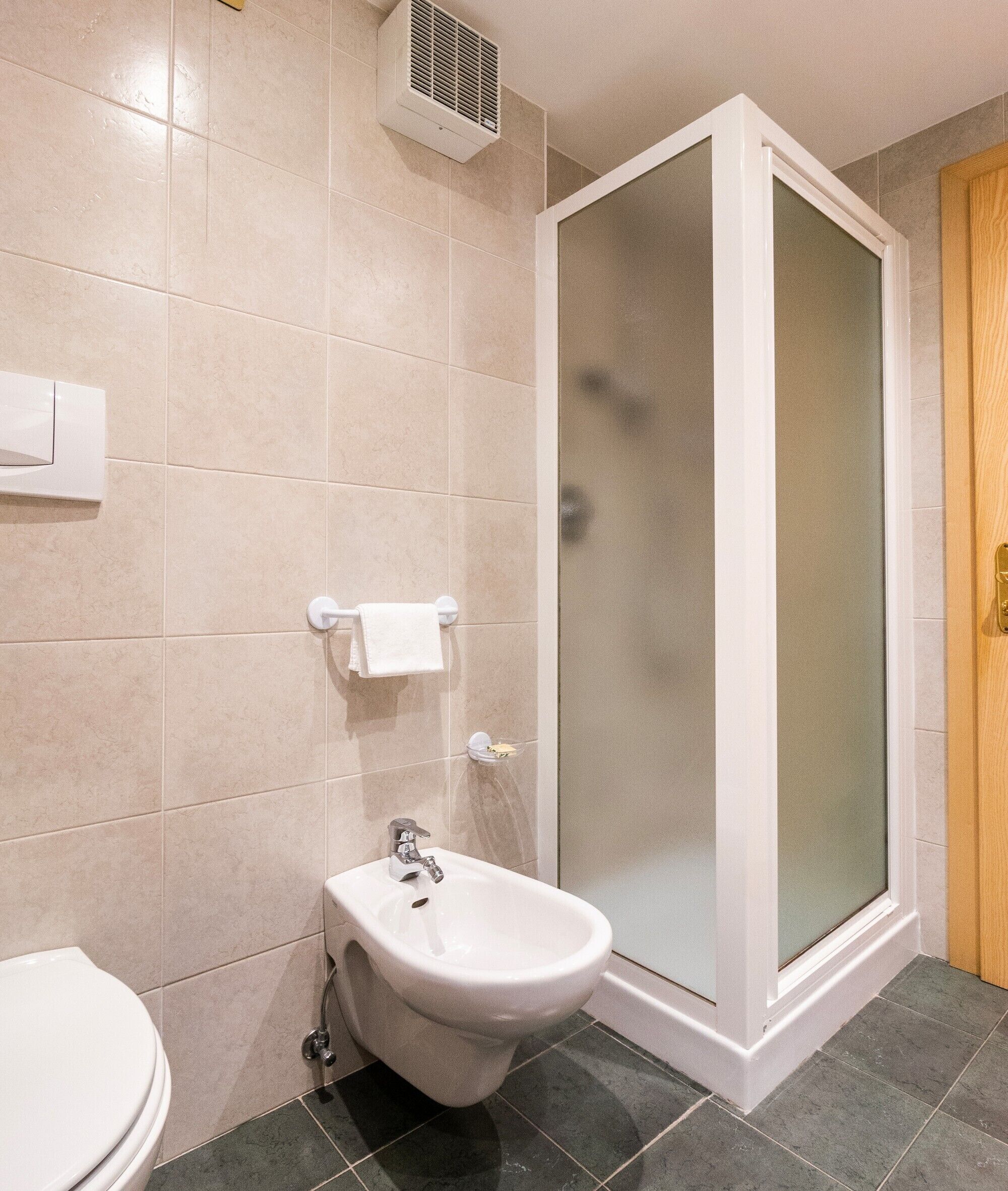 standard double or twin room | bathroom | shower, hair dryer, bidet, towels