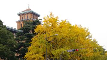 A building with a traditional architectural style, a traffic light, and a tree with yellow leaves.