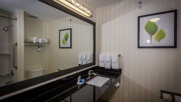 A hotel bathroom with a black sink, a large mirror, and a framed picture of leaves on the wall.