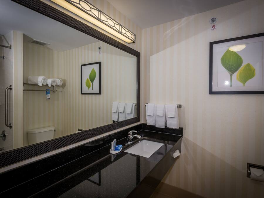 A hotel bathroom with a black sink, a large mirror, and a framed picture of leaves on the wall.