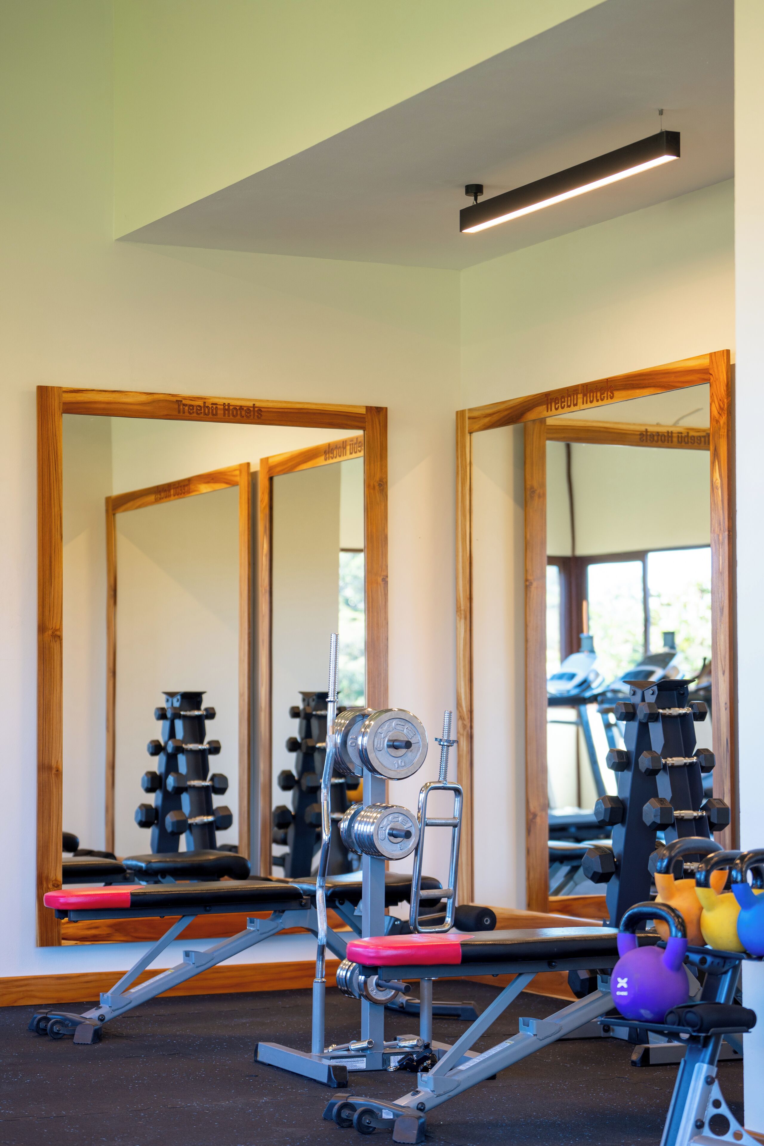 Gym