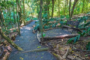 Hiking