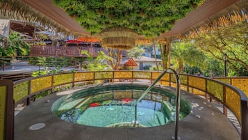 Alberca techada y camastros