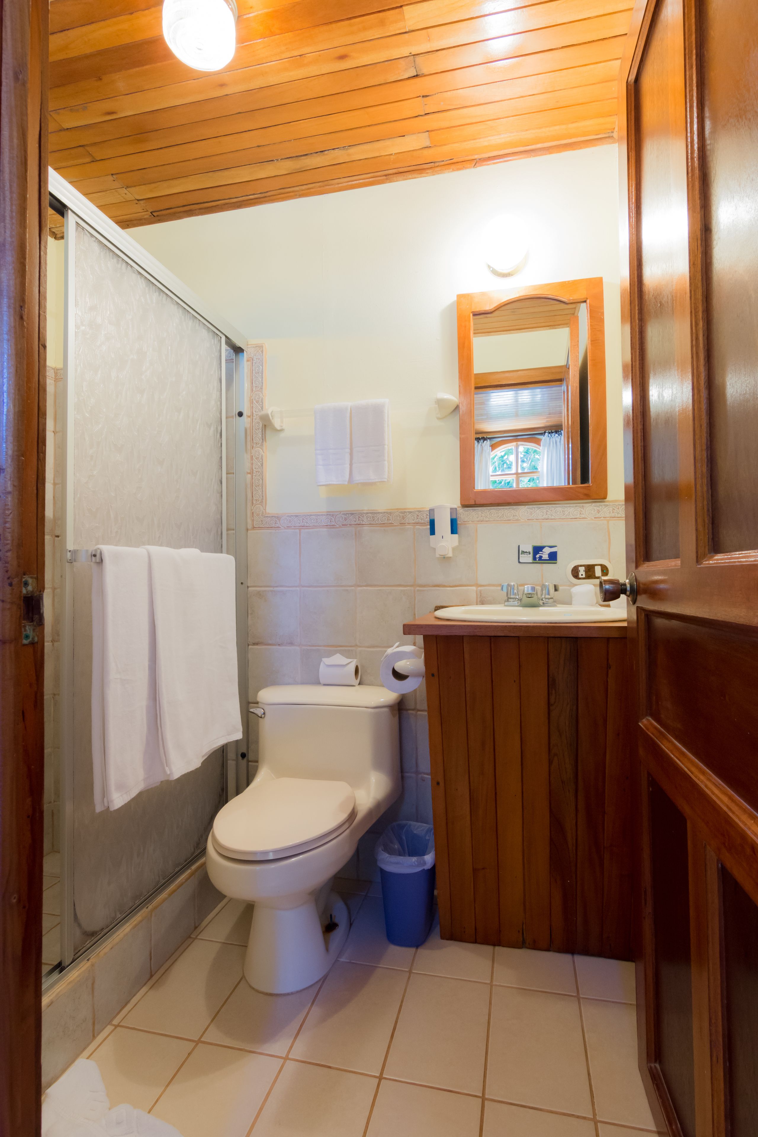 A bathroom with a wooden vanity, a toilet, a glass shower enclosure, and a mirror above the sink.