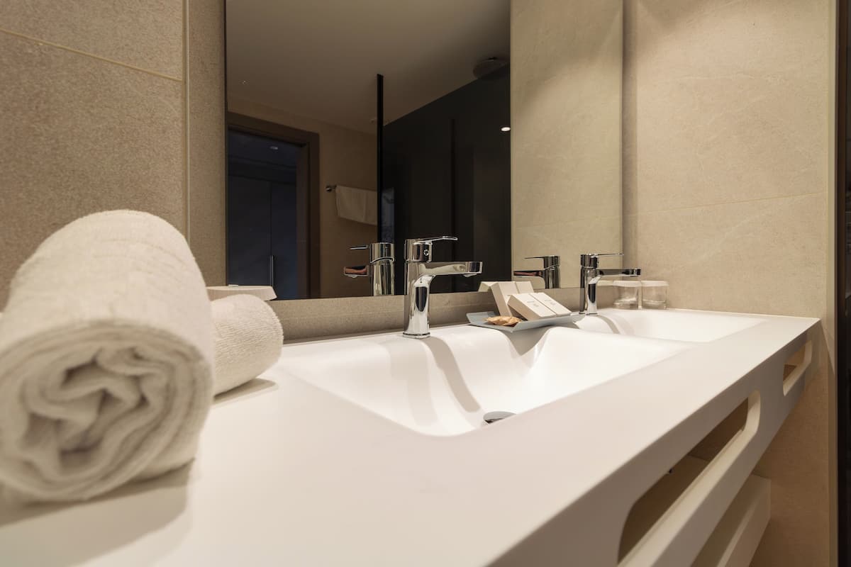 combined shower/bathtub, free toiletries, hair dryer, bidet