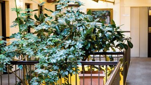 Een meerlaags interieur met een trap, plantenpotten en een balustrade.