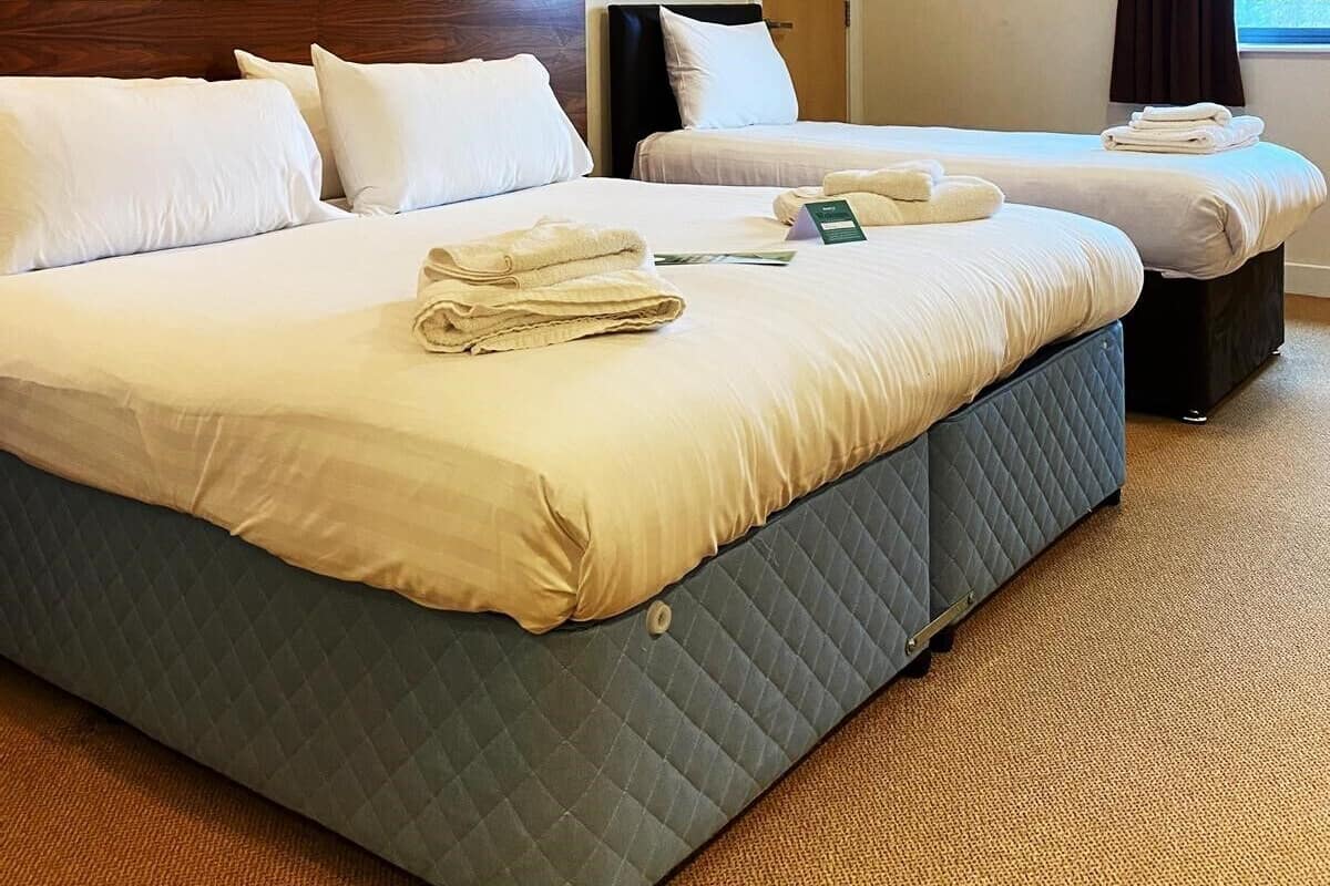 Comfort Suite, Ensuite (Family Room )
