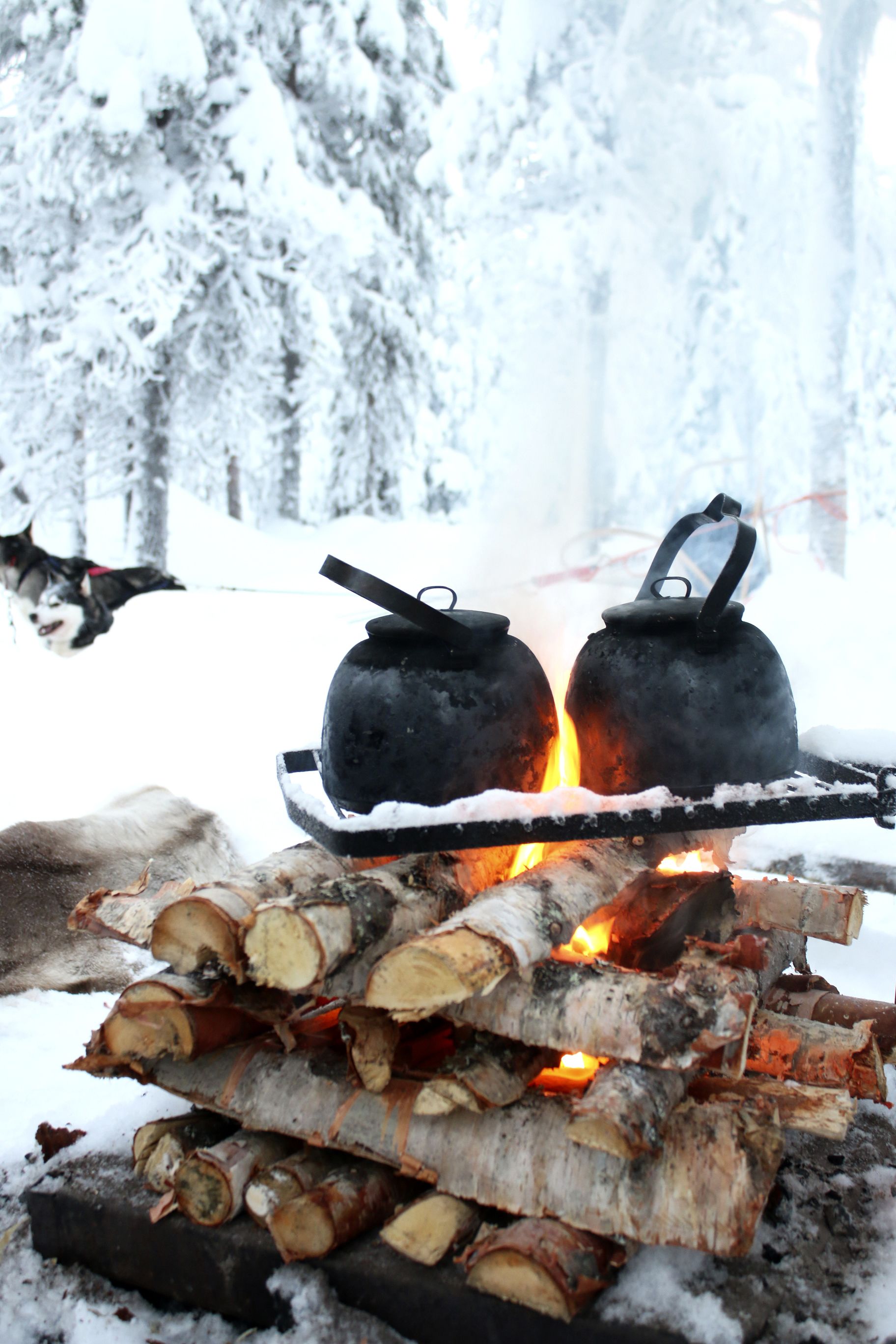 A campfire with two kettles on a metal rack, surrounded by snow-covered logs.