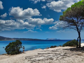 Beach nearby, beach umbrellas - Residence Bouganvillage (Budoni)