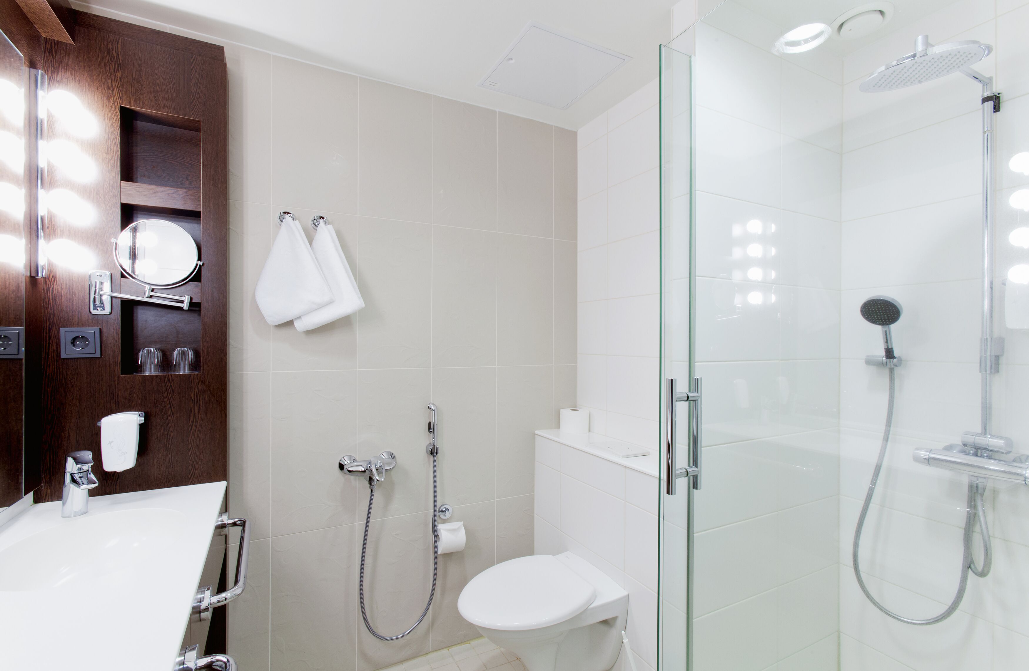 A modern bathroom with a glass-enclosed shower, a white toilet, and a vanity with a mirror and towel rack.