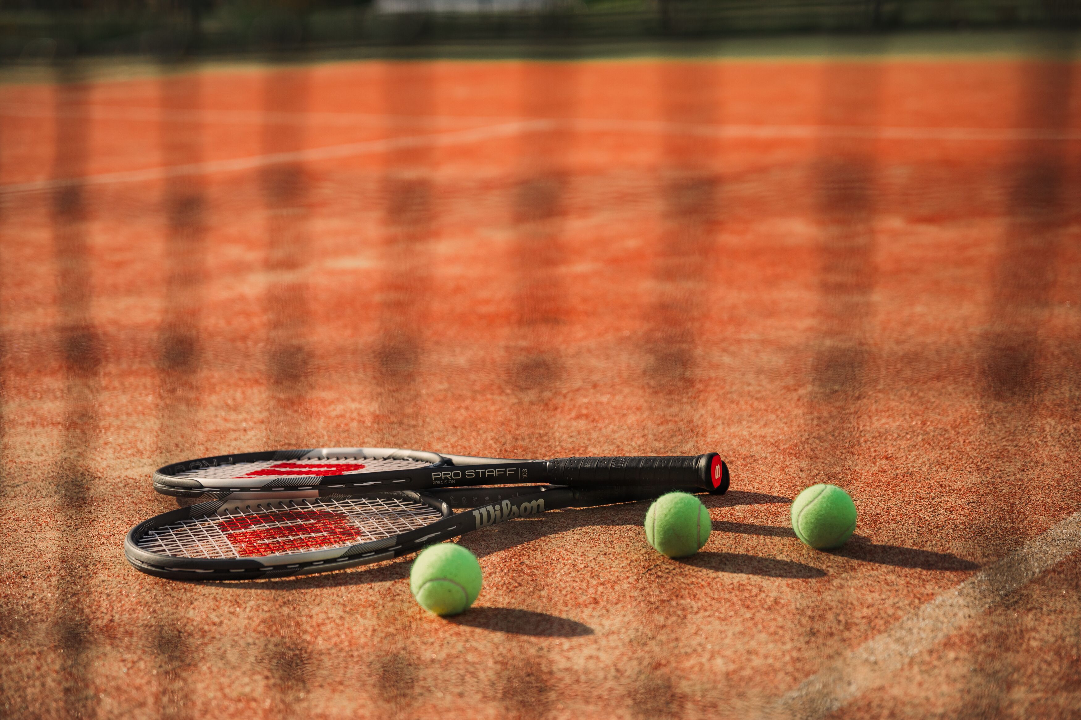 테니스 코트
