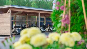 Golf cart