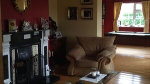 A living room with a fireplace, a sofa, a chair, and a table with a vase. - Deerpark Manor Bed & Breakfast (Swinford)