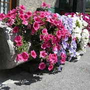 Hotel Ristorante Federia