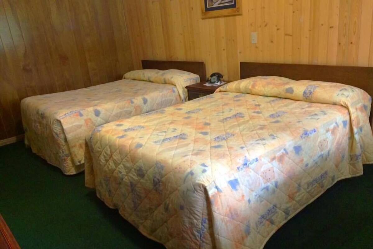 A room with two beds, wooden walls, and a green carpet.
