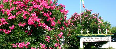 A sign for a swimming pool with a lush garden and a flag.