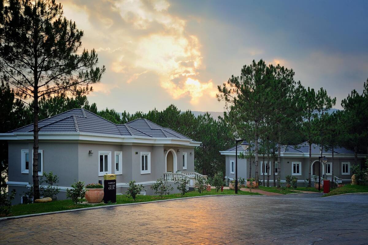 A residential area with two houses, paved driveway, and surrounding greenery.
