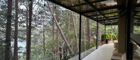 A covered walkway with a view of a forest and a body of water.