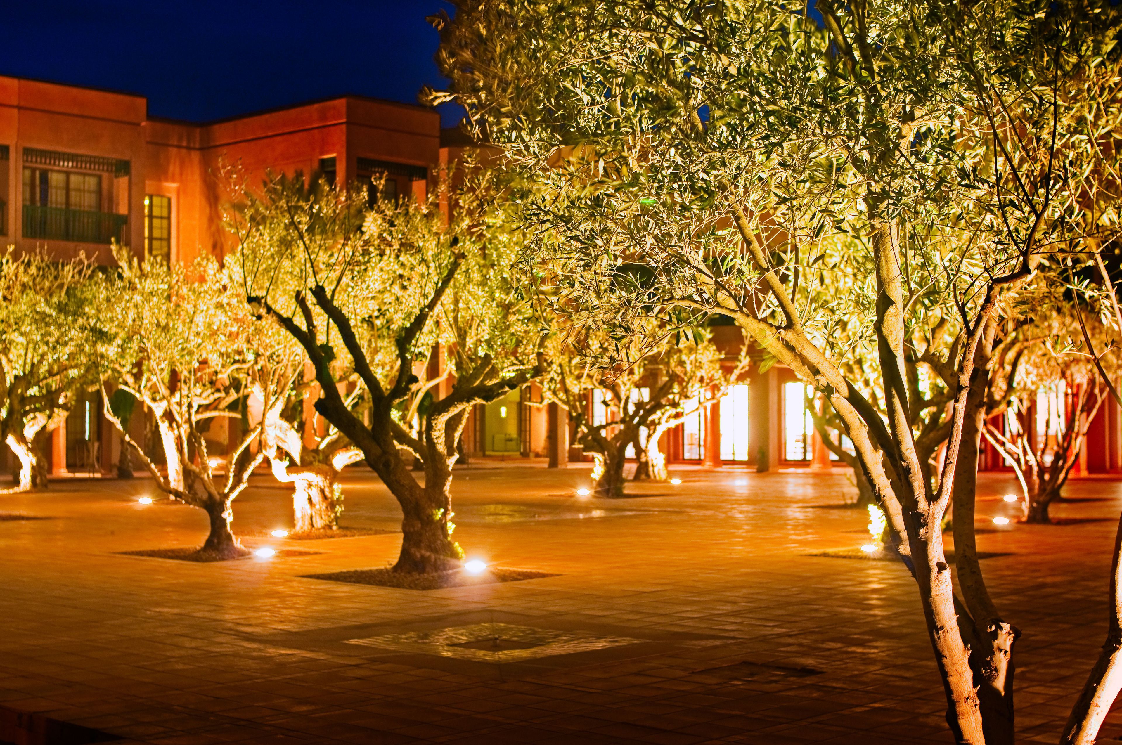 Foto - Pickalbatros Hôtel Du Golf - Adults Friendly 16 Years Plus- All-Inclusive