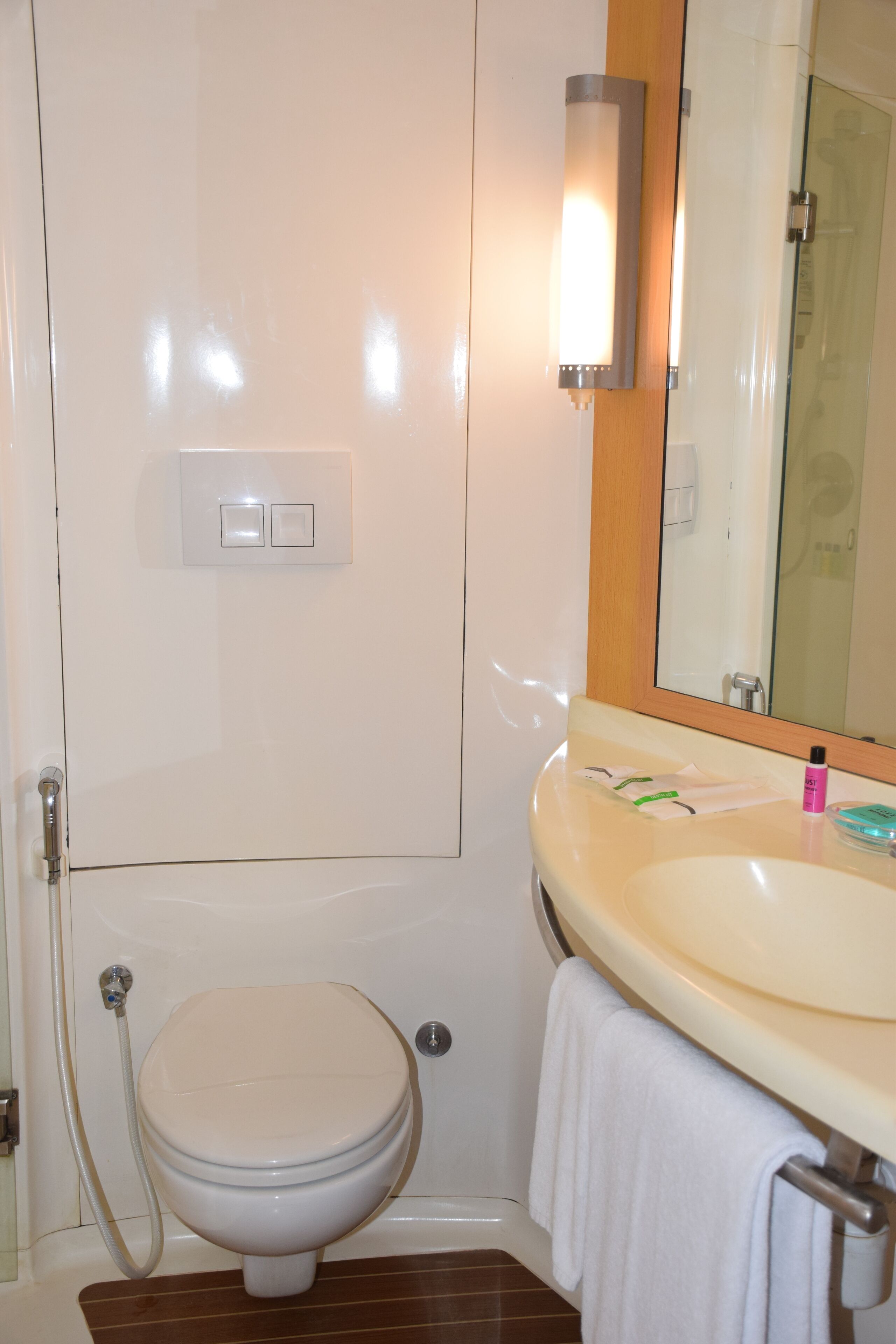 A bathroom with a toilet, sink, and mirror.