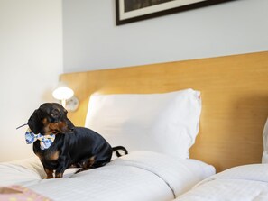Ropa de cama de alta calidad, colchones viscoelásticos, minibar
