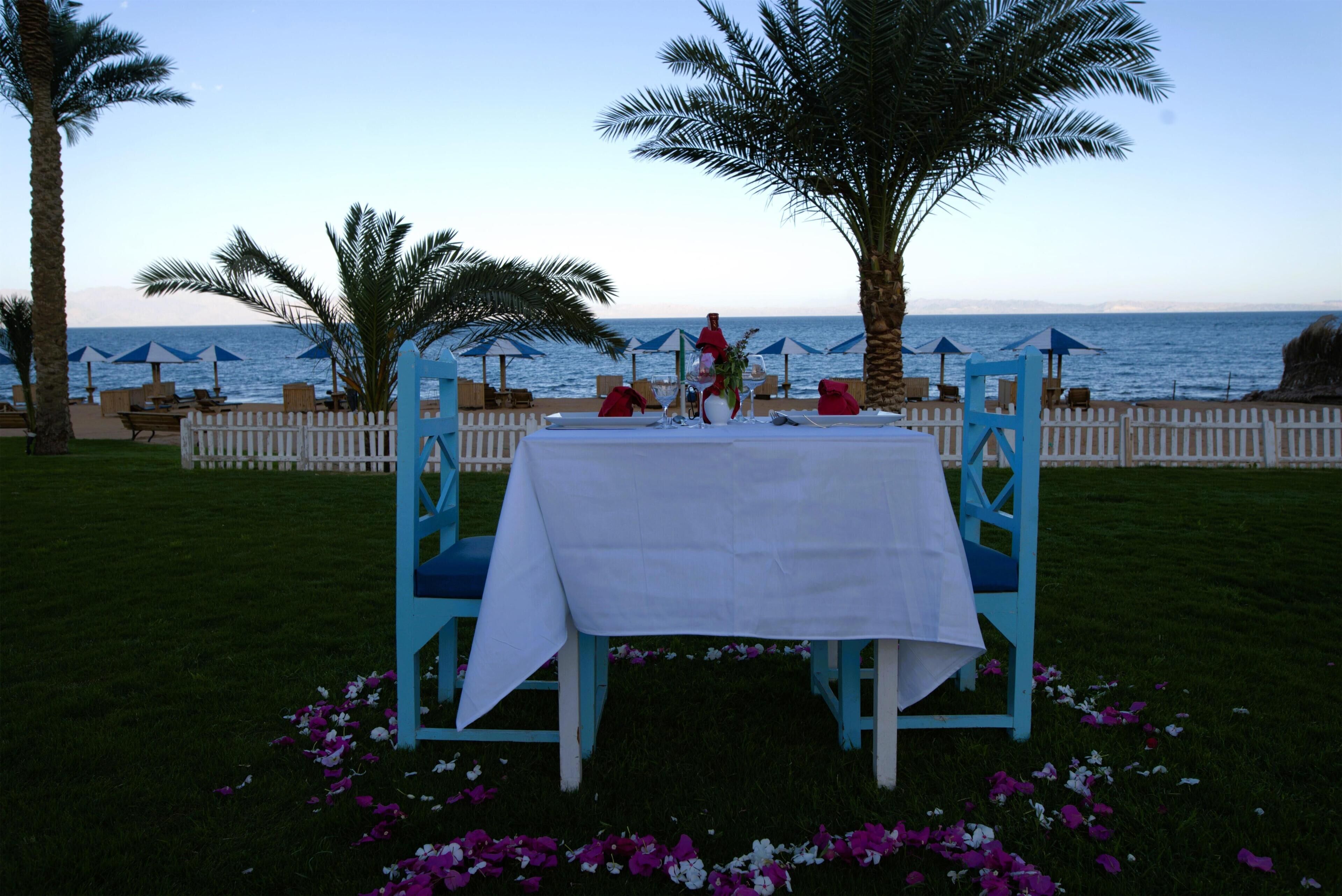 An outdoor dining setup with a white table and blue chairs, surrounded by palm trees and a view of the sea.