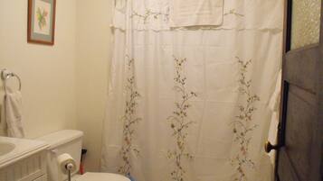 A bathroom with a toilet, a sink, and a shower curtain with floral patterns.