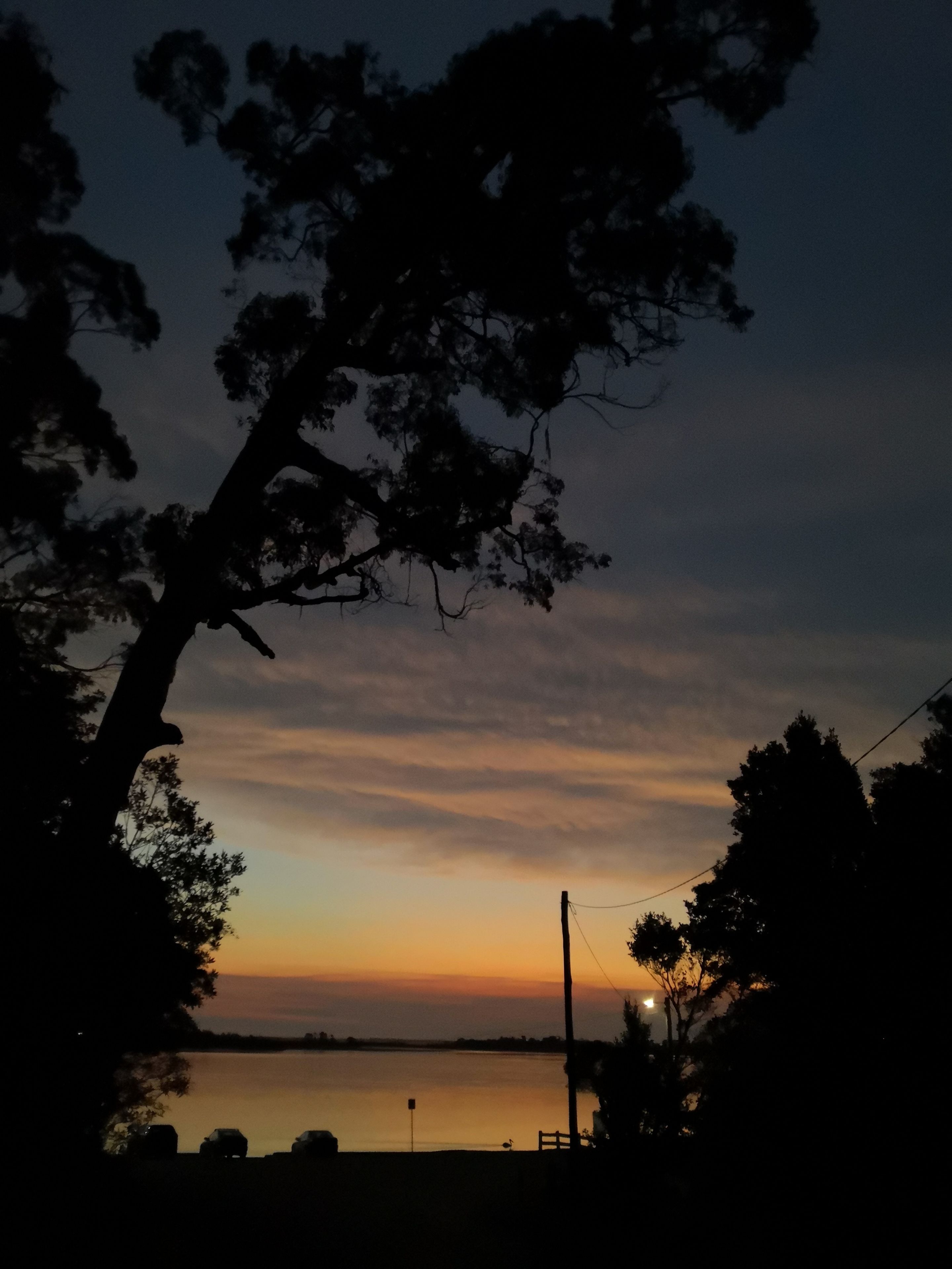 Vista del capvespre amb la silueta d'un arbre i una calma massa d'aigua.