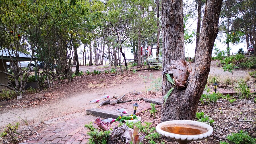 Kalimna Woods Cottages