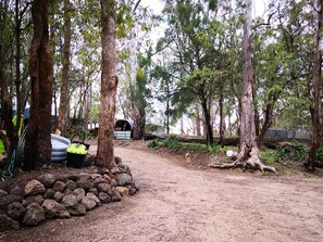 A forested campsite with a dirt path, trees, and a covered structure. - Kalimna Woods Cottages (Kalimna)