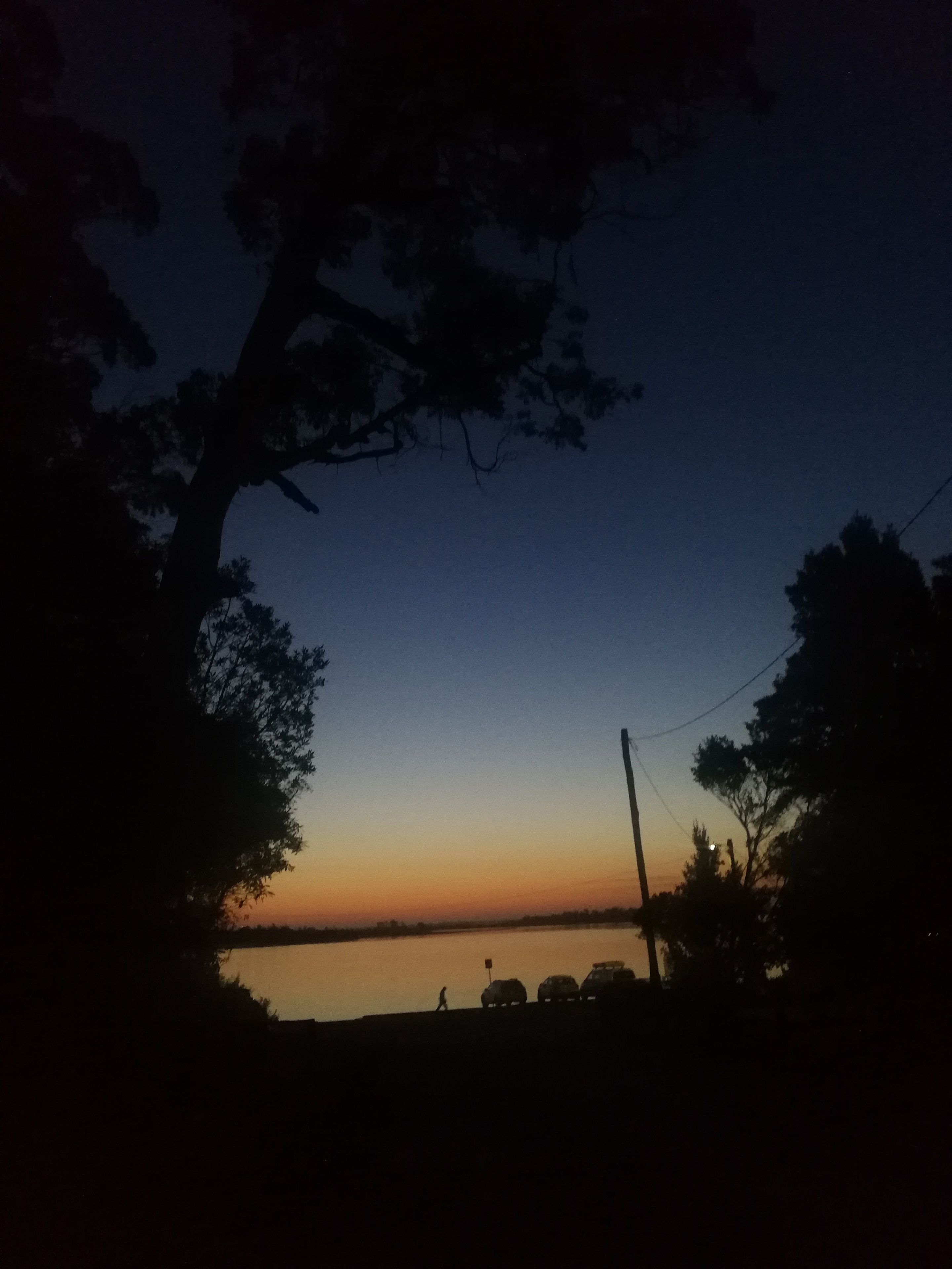 A nighttime view of a body of water with silhouettes of trees and a few vehicles on the shore.