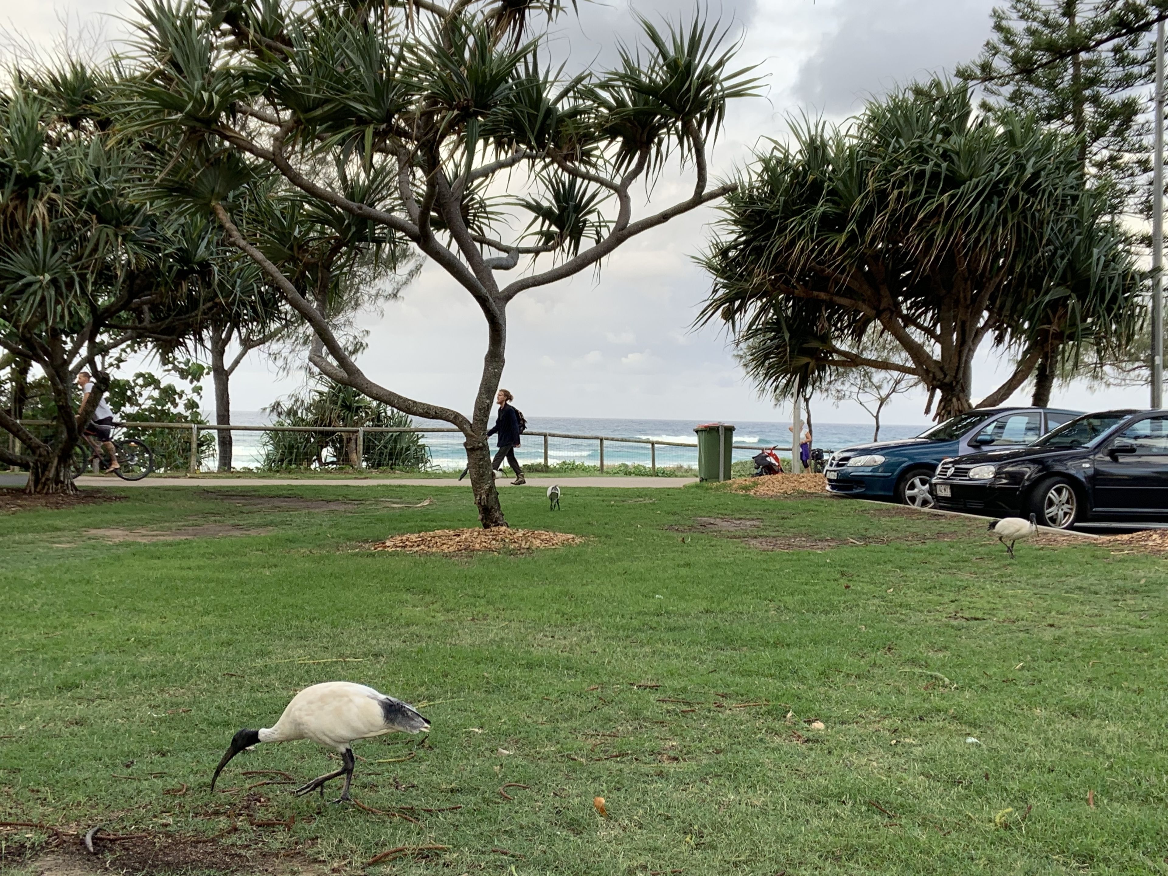 Foto - Burleigh Gardens North Hi-Rise Holiday Apartments