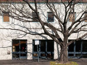 Un edificio con amplios ventanales y un árbol en primer plano.